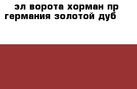  эл ворота хорман пр германия золотой дуб 2750-2250  › Цена ­ 39 000 - Московская обл., Москва г. Строительство и ремонт » Двери, окна и перегородки   